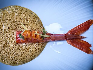 Gourmet-Garnelengericht mit Schaumsauce und Zitrusgarnitur auf weißem Teller