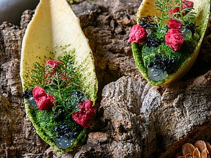 Gourmet-Vorspeise mit essbaren Blättern, Moos und Beeren auf Rindenplatte serviert