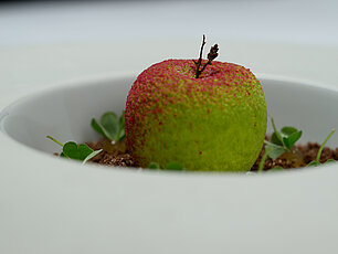 Grün-rotes apfelförmiges Dessert in weißem Teller, mit kleinen grünen Blättern